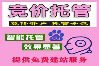 SEM公司广告投放案例：从零到一的成长历程